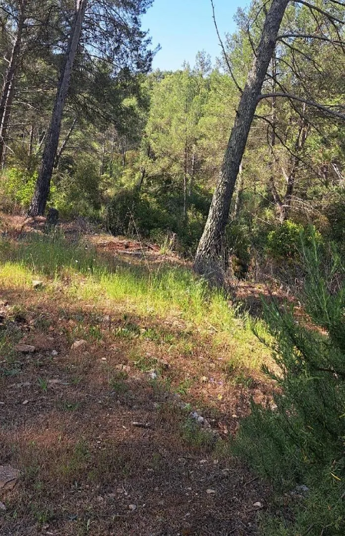 Holiday home Le Bastidon Des Tilleuls Le Beausset
